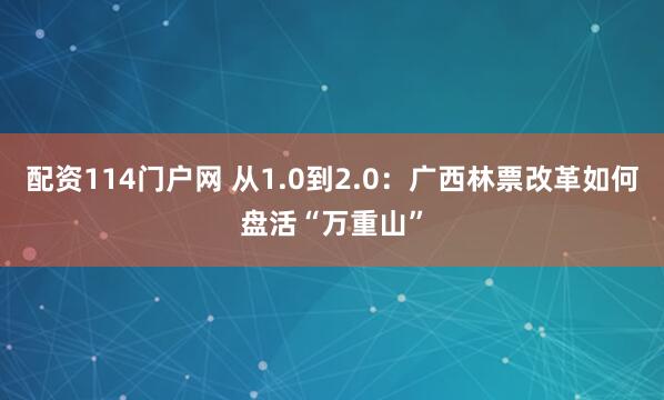 配资114门户网 从1.0到2.0：广西林票改革如何盘活“万重山”